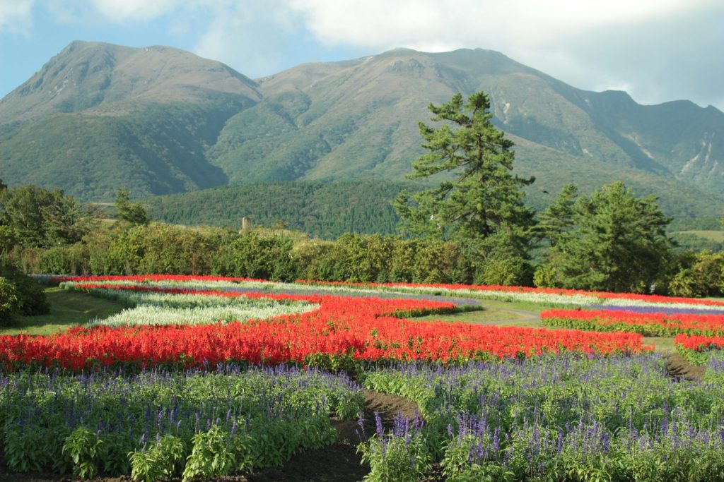 A day trip to Oita by bus is not complete without visiting the vast garden with the backdrop of the Kuju Mountains as seen in this photo.