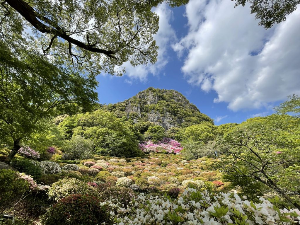 This the Tsutsuji garden of Mifuneyama Rakuen.