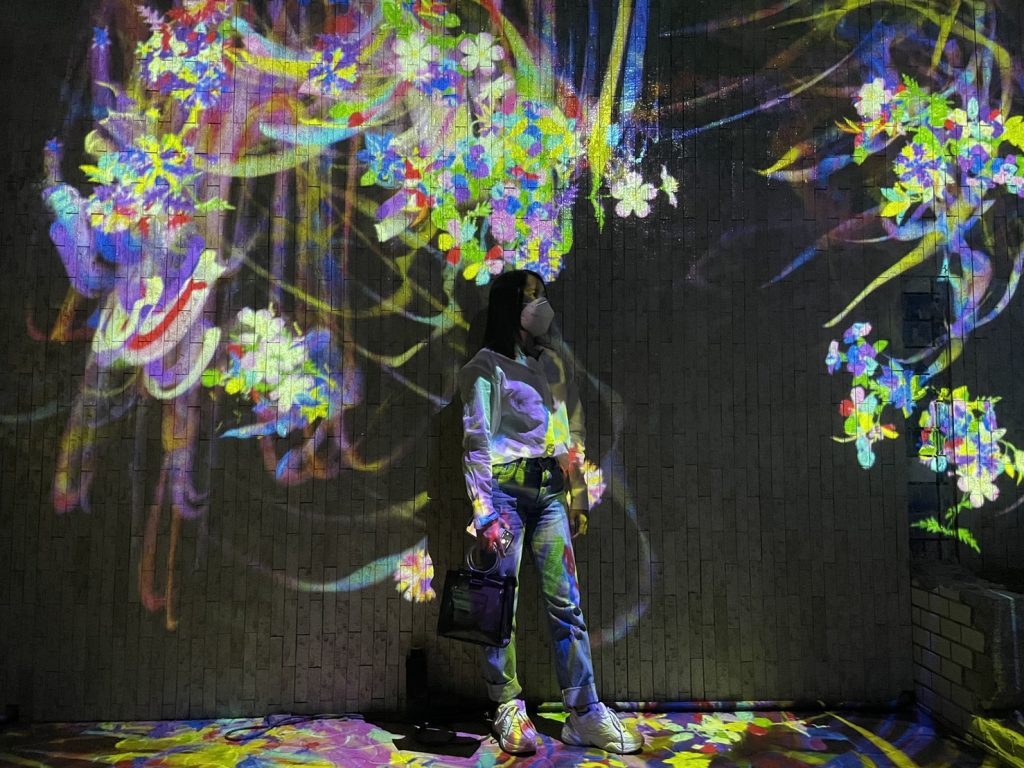 Indoor project mapping at Mifuneyama Rakuen powered by TeamLab.